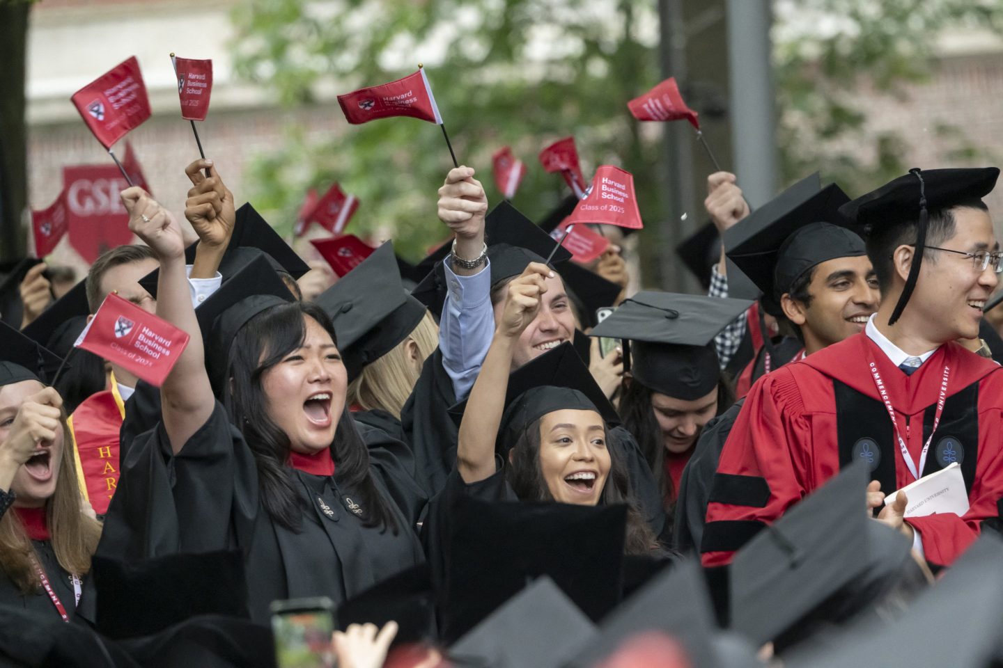‘The Bermuda Triangle of Talent’: 27-year-old Oxford grad turned down McKinsey and Morgan Stanley to find out why Gen Z’s smartest keep selling out